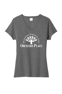 Ladies V Neck Graphite Heather