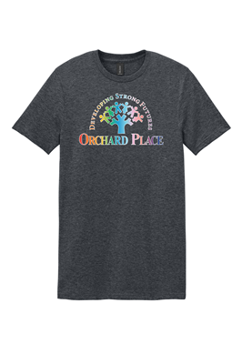 Orchard Place June Special T Shirt Dark Heather